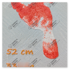 Eine Bilderplatte mit Baby Fußabdruck und Daten (Größe, Gewicht und Datum) der Kinder zum Zeitpunkt der Geburt.<br /><br />Farben: Silber, orange und rot<br />Gedruckt mit 0,4 mm Düse