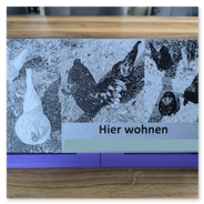 Namensschild ASA<br /><br />Ein 30*15 cm großes Namensschild mit Foto